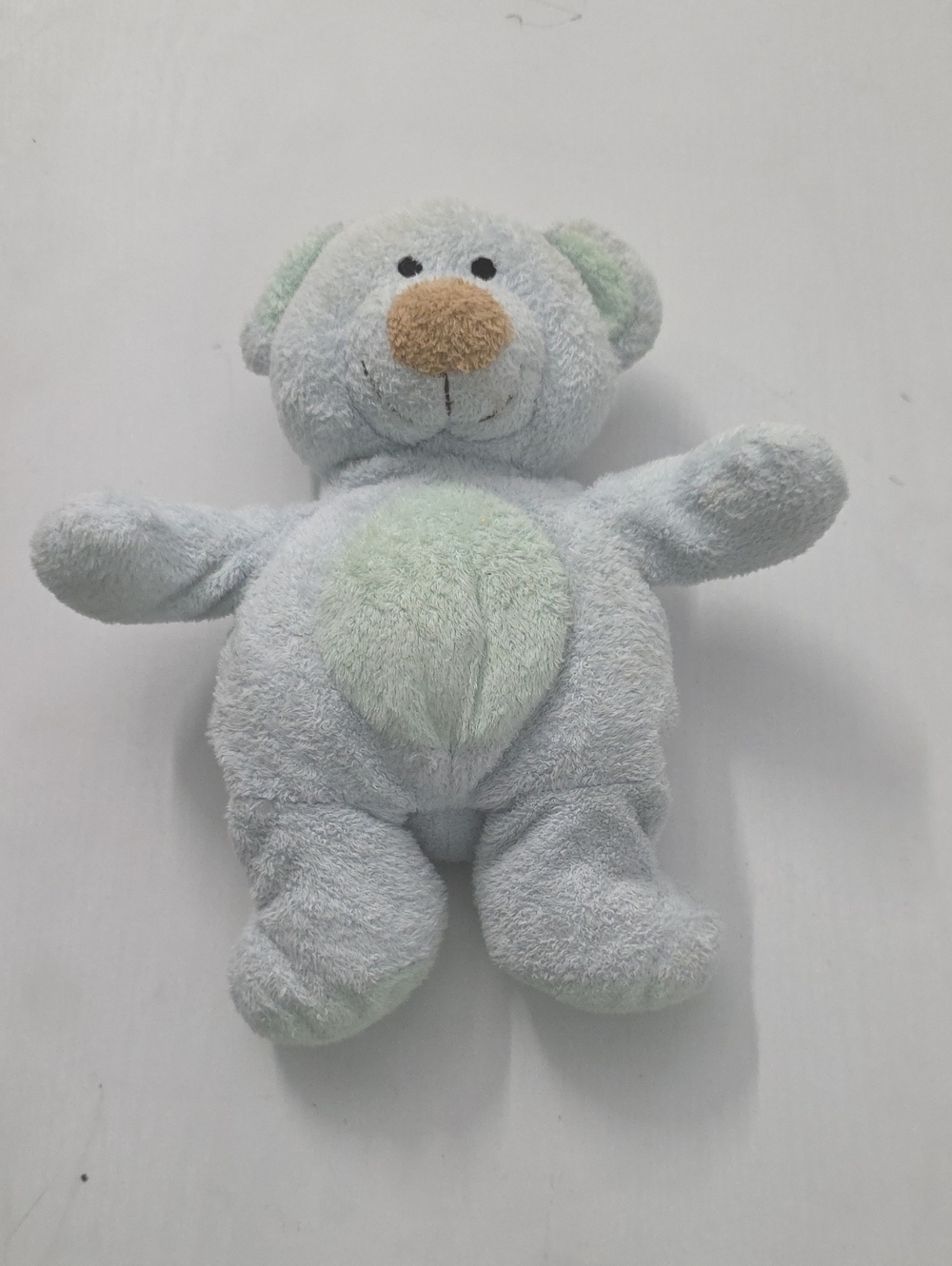 Ty Light Blue & Mint Plush Teddy Bear